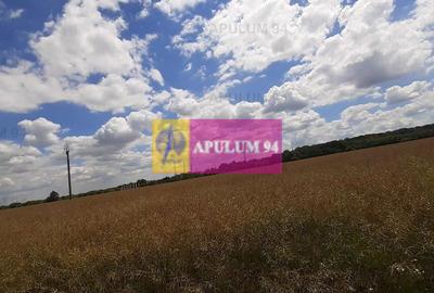Teren 715mp în Snagov lângă Equestria - 55