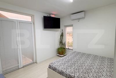 Casa individuala , 3 garaje , terasa ,  352mp utili, zona Dambu Rotund - 11