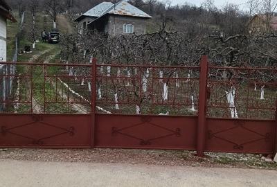 Proprietatea se vinde! - 1