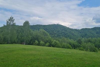 Refugiu idilic cu oglinda de apa, panorama montana, Glajerie/Rasnov, ideal mini - 28