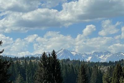 Apartament Premium | Grand Chalet | Poiana Brasov - 14