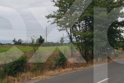 Teren intravilan 4.800 mp – lângă Autostrada Pitești - SuperNova - 3
