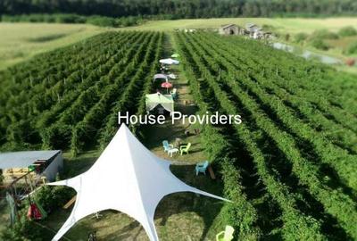 Teren Snagov Izvorani, loturi 500 - 1000Mp - 1