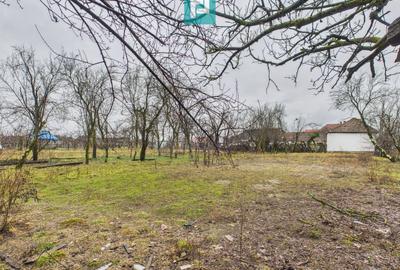 Casă modernă P+1, cu magazin, lângă orașul Sebiș - 33