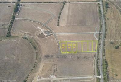 Teren Industrial de Vânzare PUZ Finalizat, Locație Strategică! - 1