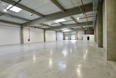 Spații moderne de închiriat – Hala A3 Modul 1 și 2 - 2364 mp - 5