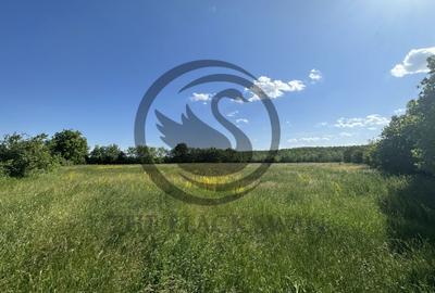 Teren Vanzare 11.000 MP Ghirdoveni | Comision 0% - 10