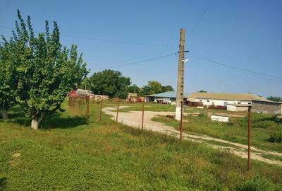 Ferma cu hale 3000 mp si teren 12000 mp, 30 km de Constanta - 1