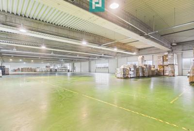 Hală industrială de 4.155 mp Calea Borșului - 19