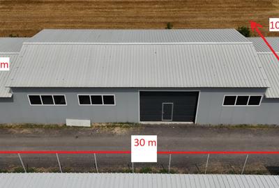 CIOLPANI, LOT 5.000 MP, HALE INDUSTRIALE! - 7