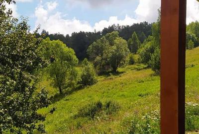 Cabana de vanzare, 8000 mp teren intravilan. Plopi - 2