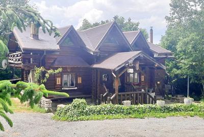 Casa de vacanta superba cu lac Rasnov-Glejerie - 4