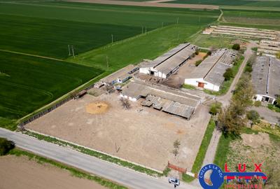ID 7905 Oportunitate investiție agro-industrială - EXCLUSIVITATE - 3