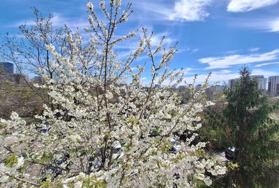 Apartament luminos și renovat 2 camere Pajura, prima închiriere! - 16