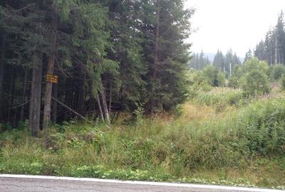 Vând teren 3000 mp intravilan Lac Vidra, Voineasa, Valcea 3 km de partia de ski - 3