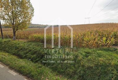 Teren de vanzare in Sibiu, 2.614 mp intravilan 4.081 mp extravilan - 3