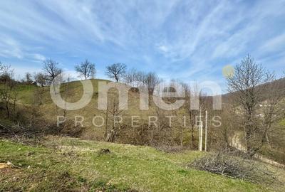 Teren intravialn | 6476 mp | Ulmoasa | zonă superbă - 3