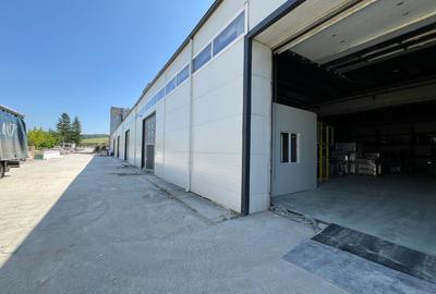 Hală industrială producție, depozitare Baciu - 180 mp - 7