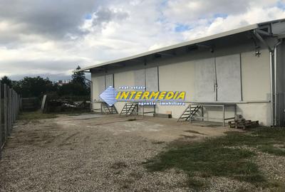 HALA CU MULTIPLE ACTIVITATI I 265  MP I TEREN 608 MP I Alba Iulia I - 1