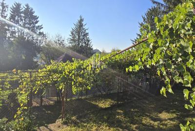 Casă individuală cu 2 camere în Central