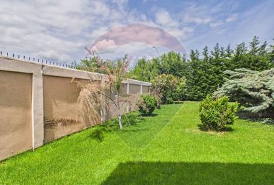 Proprietate premium Otopeni - vila cu 6 camere, piscina, teren 1300 mp - 40