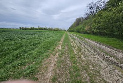 Teren de vânzare 18.000 mp – Clinceni, zona Ordoreanu | Oportunitate investiție - 1