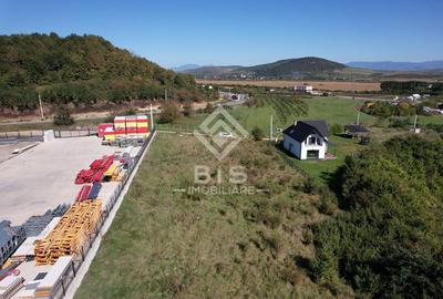 Teren Intravilan - Viisoara - 14
