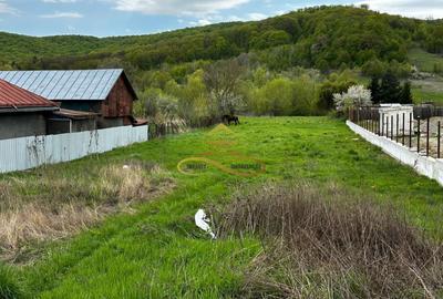Teren intravilan de vanzare 2900 mp Luncani -Bacau - 5
