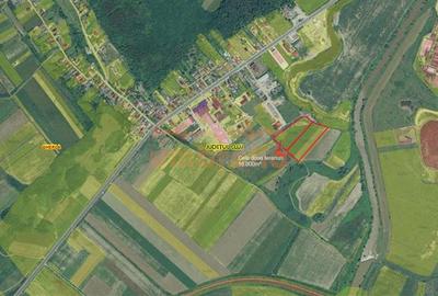 Teren de vanzare 2 parcele total 18.000m²/50€ m² Gherla ! - 2