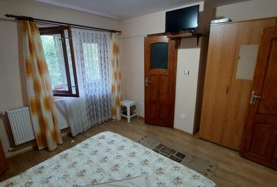 Pensiune turistică de vânzare în Lepșa – o oportunitate unică de afacere - 12