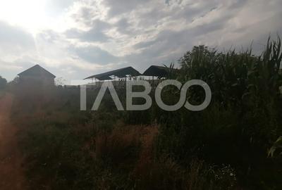 Oportunitate investitie Teren de vanzare 18.844 mp zona Turnisor Sibiu - 4