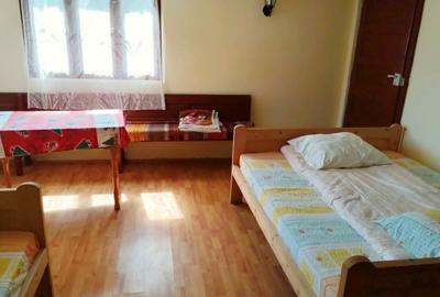 Oportunitate Apuseni: 7553mp cu parau, casa, anexe la 2km de Ghețarul Scarisoara - 9