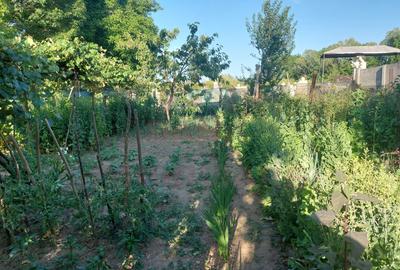 CASĂ 5 CAMERE\ OȚELU-ROȘU\ZONA CIREȘA \ COMISION 0% - 21