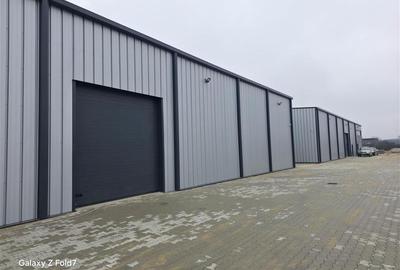 Vanzare depozit/hala/spatiu industrial Mogosoaia - Buftea - 1