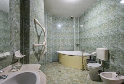 Business cu identitate: Apartament Unirii , demisol, parter si curte accesibila - 22