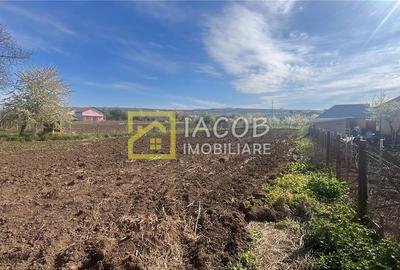 Teren intravilan 2554 mp, com. Prajesti, jud. Bacau - 13