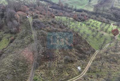 Teren de vânzare in Groși, Maramureș, 55 ari - 3