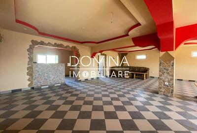 Proprietate complexa P+1+M – *oportunitate business* in Barsesti - 3