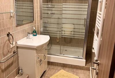 Închiriez apartament 2 camere decomandat lângă parcul Carrefour Brătianu - 8