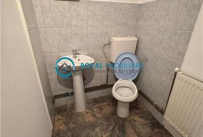 Royal Imobiliare - Inchiriere Vila zona Gheorghe Doja - 12