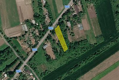 15000 euro pentru 900 mp! Intravilan Nuci, sat Merii Petchii - 8