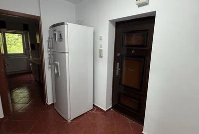 GARSONIERA - DECOMANDATA - APARATORII PATIRIEI - 3