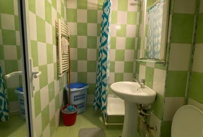 Apartament 2 camere parter mobilat si utilat,centrala, Alecu Russo - 9