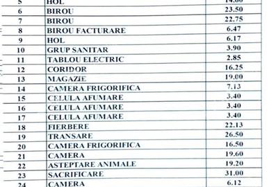Spatiu comercial de 380 mp utili si teren 683 mp zona Terezian Sibiu - 10