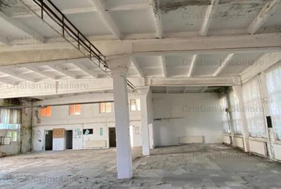 Vanzare sau inchiriere Cladire cadre beton  743 mp Movila Miresii teren 7354 mp - 6
