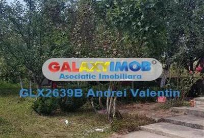 Direct Proprietar - Casa   Vila de Vanzare P+1+M - Pantelimon - 4