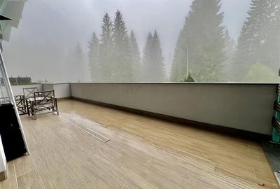 Apartament exclusivist 4 cam Silver Mountain - 38