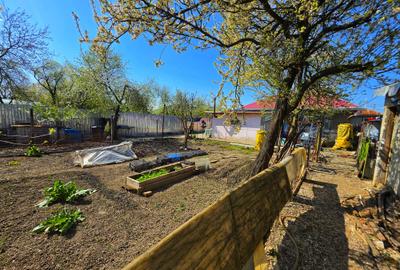 Casă 4 camere, 685 mp teren, renovată 2011 – Mănești, Zalhanaua - 10