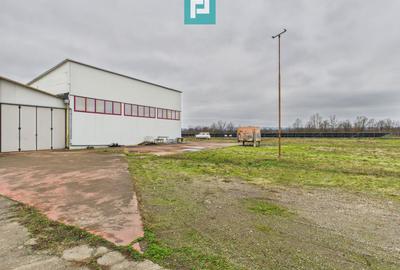 Hală de producție, cu birouri și teren, în Sebiș - 58