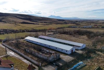 Teren industrial 1.729 mp I Demolare + construcție hală Teliu - 8